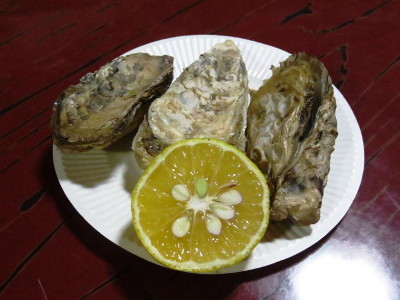 f:id:miyotya:20161114105437j:image