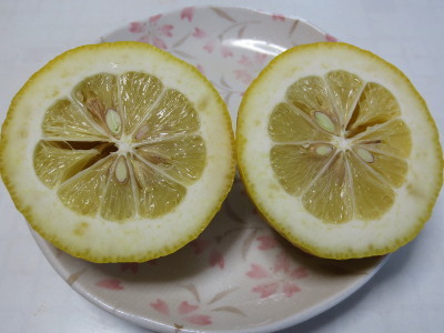 f:id:miyotya:20170201165905j:image