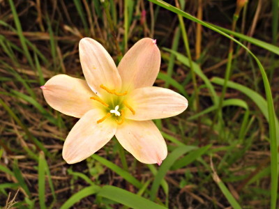 f:id:miyotya:20170803201352j:image