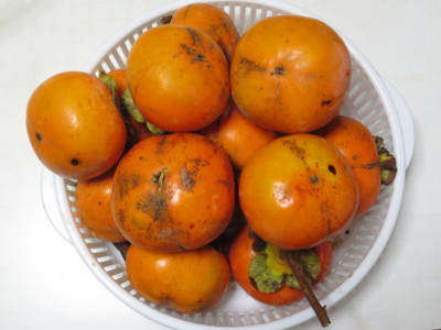 f:id:miyotya:20171026181237j:image f:id:miyotya:20171026181237j:image