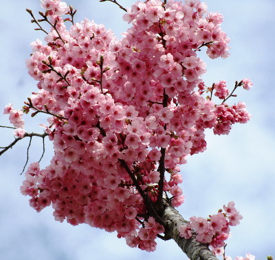 f:id:miyotya:20180324195931j:image f:id:miyotya:20180324195931j:image