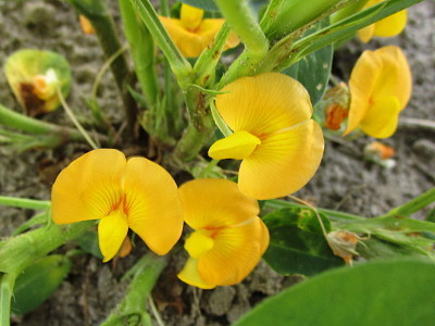 f:id:miyotya:20180708192120j:image f:id:miyotya:20180708192120j:image