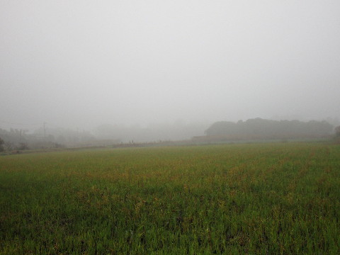 f:id:miyotya:20181105190548j:plain f:id:miyotya:20181105190548j:plain