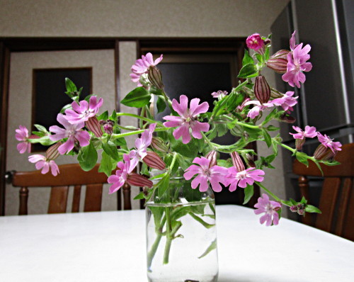 f:id:miyotya:20190504210842j:plain f:id:miyotya:20190504210842j:plain