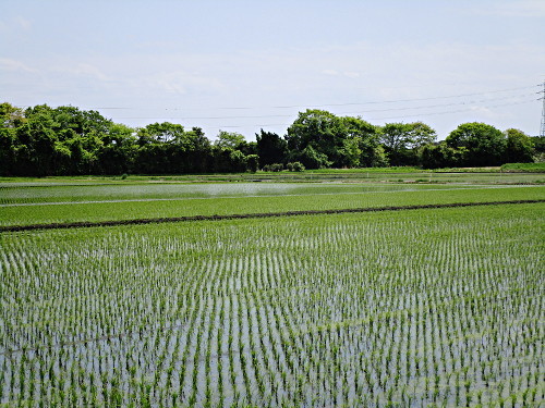 f:id:miyotya:20190507195608j:plain