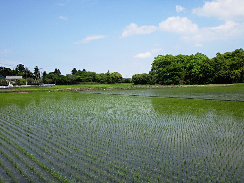 f:id:miyotya:20190507200354j:plain