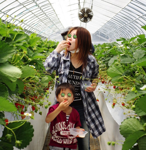 f:id:miyotya:20190513162744j:plain