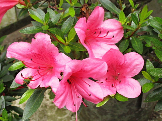 f:id:miyotya:20190603204322j:plain f:id:miyotya:20190603204322j:plain