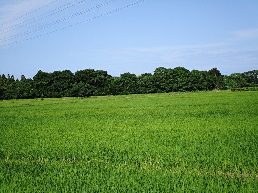 f:id:miyotya:20190625172750j:plain f:id:miyotya:20190625172750j:plain