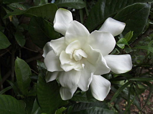 f:id:miyotya:20190629200635j:plain f:id:miyotya:20190629200635j:plain
