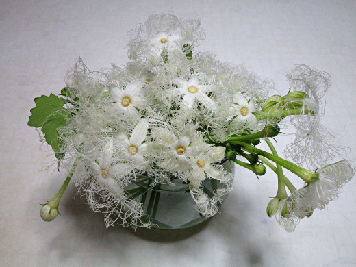 f:id:miyotya:20190810201428j:plain f:id:miyotya:20190810201428j:plain