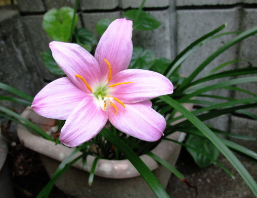 f:id:miyotya:20190825180124j:plain f:id:miyotya:20190825180124j:plain