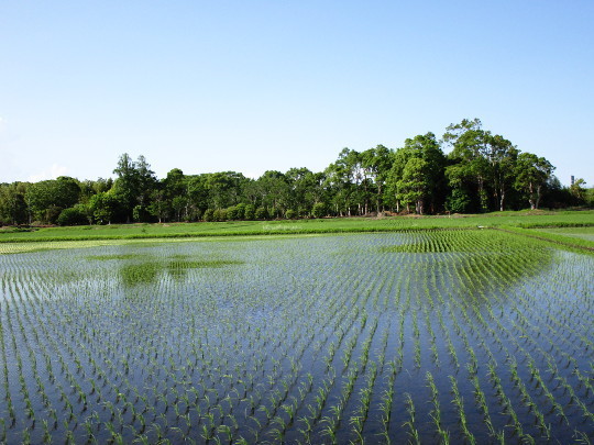 f:id:miyotya:20200529180644j:plain f:id:miyotya:20200529180644j:plain