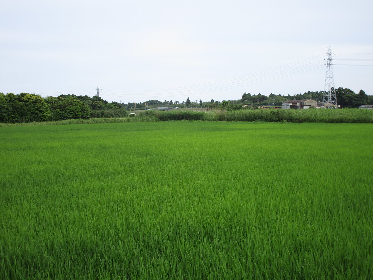 f:id:miyotya:20200615194926j:plain f:id:miyotya:20200615194926j:plain