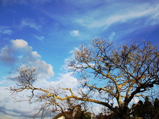 f:id:miyotya:20201130201100j:plain