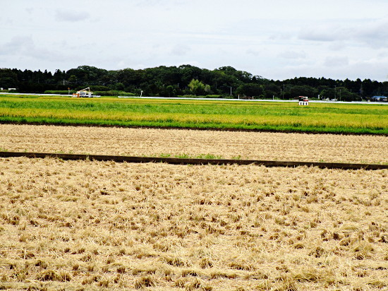 f:id:miyotya:20210821163352j:plain