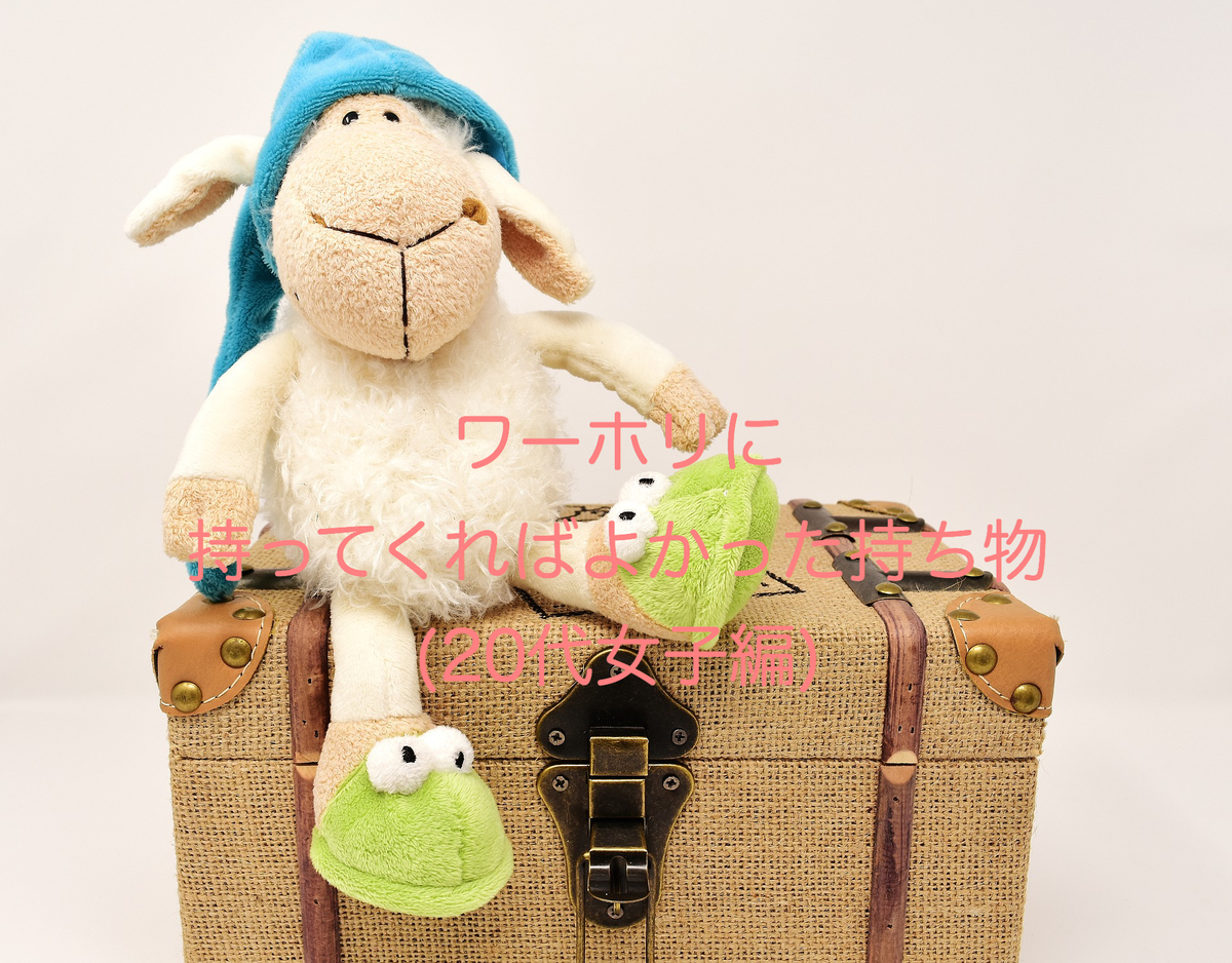 f:id:miyrie:20200507003835j:plain f:id:miyrie:20200507003835j:plain