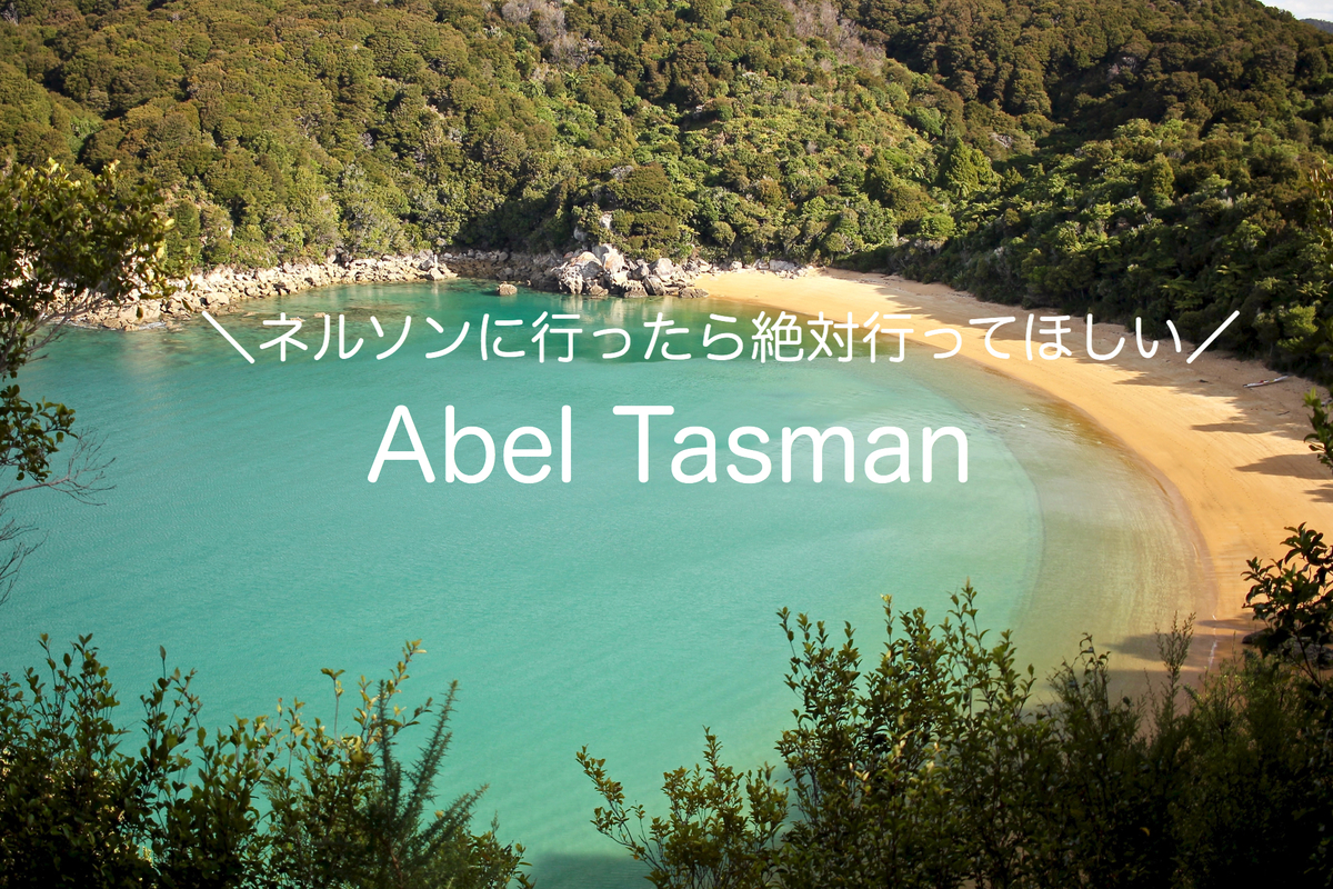 f:id:miyrie:20200515154851j:plain f:id:miyrie:20200515154851j:plain