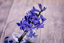 f:id:miys_terry:20180225110758j:plain f:id:miys_terry:20180225110758j:plain