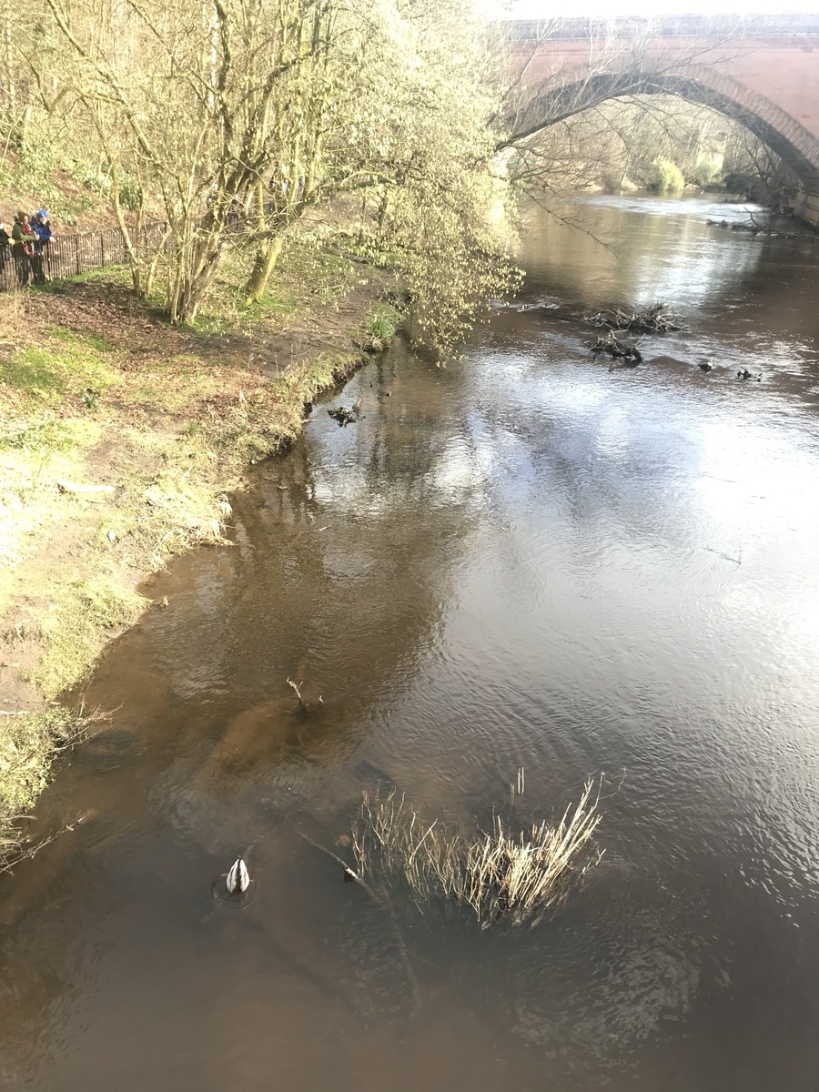 Glasgow Botanical garden 