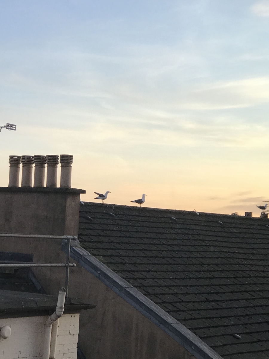 窓から見た景色