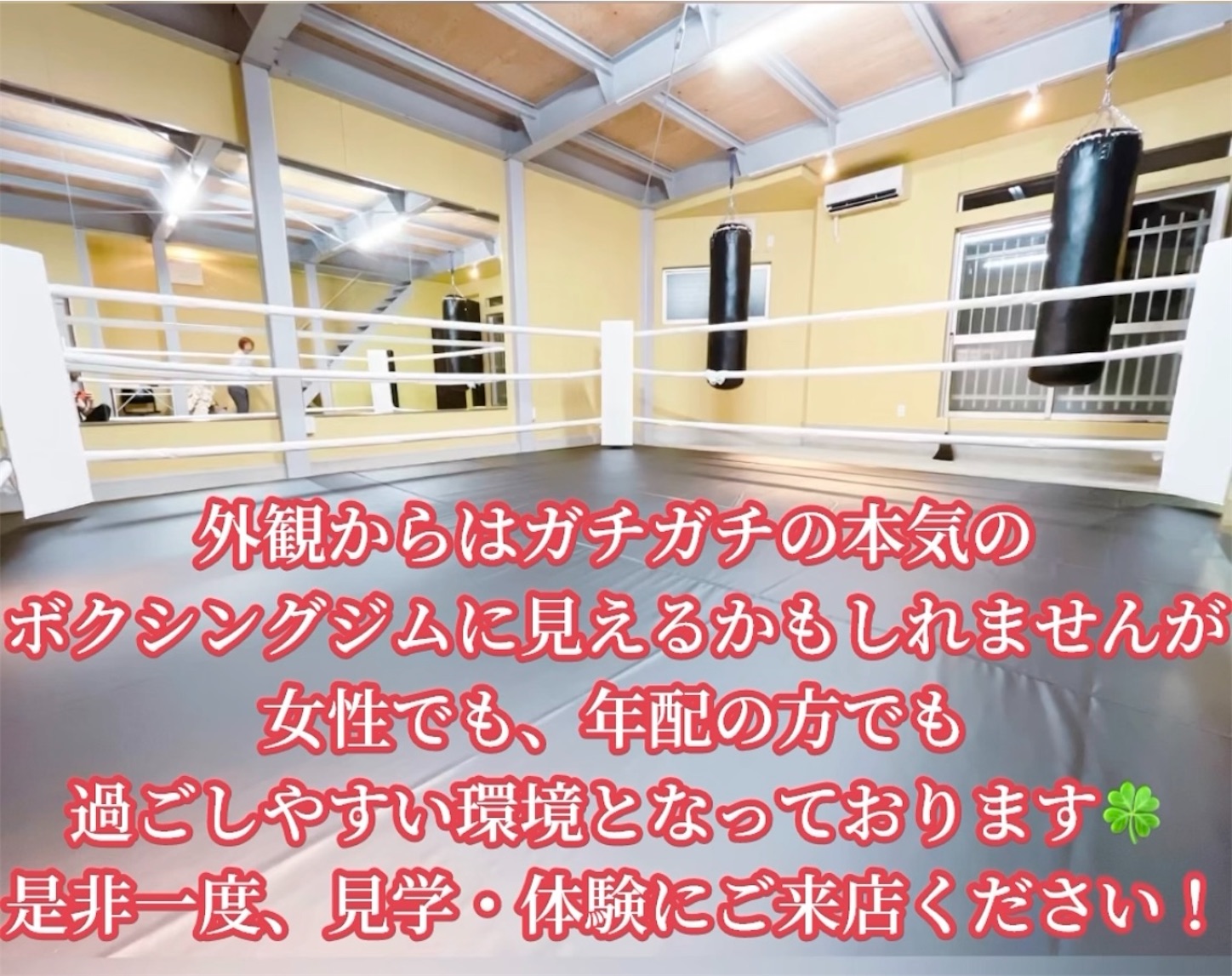 f:id:miyu0913:20231027101439j:image