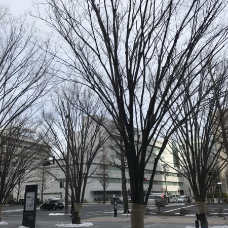 f:id:miyu28:20170116135306j:image:w360 f:id:miyu28:20170116135306j:image:w360