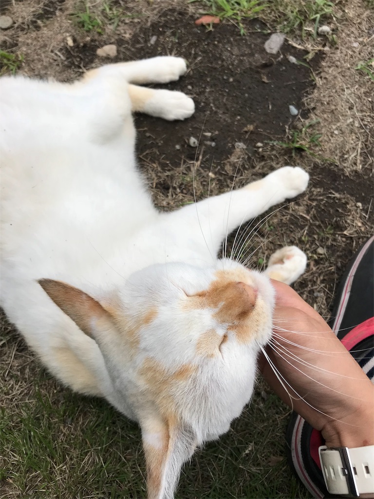 f:id:miyu5730:20180908140725j:image