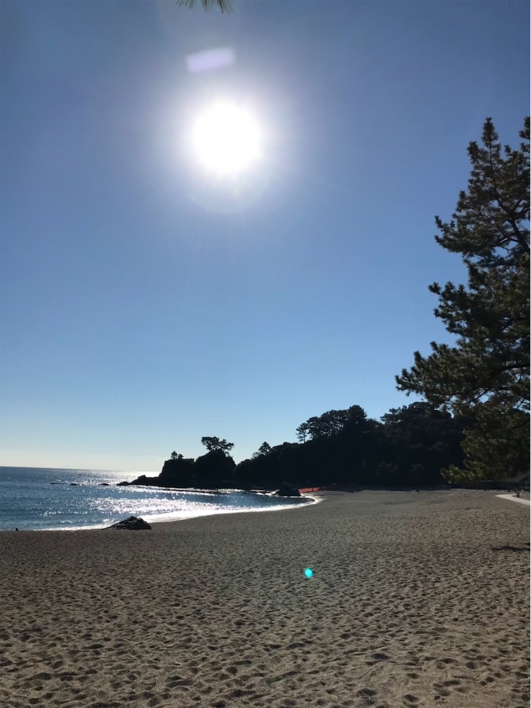 f:id:miyubon:20190122171422j:image