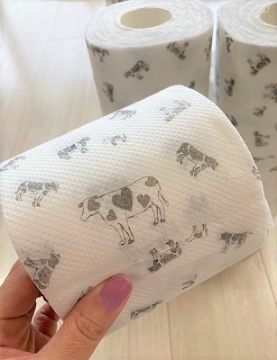 隠れ を探せ トイレットペーパーにだってときめいちゃう カインズから可愛すぎる干支シリーズ発売 ベイビーーズ ママのトレンド