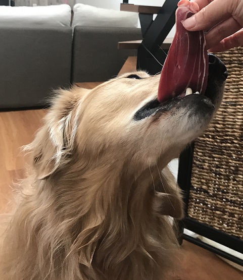 f:id:miyudora-pet:20190212134922j:plain f:id:miyudora-pet:20190212134922j:plain