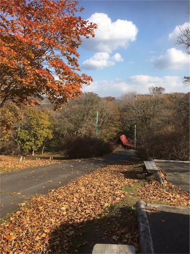 f:id:miyuki-w-w-ikuyim:20161029121116j:image f:id:miyuki-w-w-ikuyim:20161029121116j:image