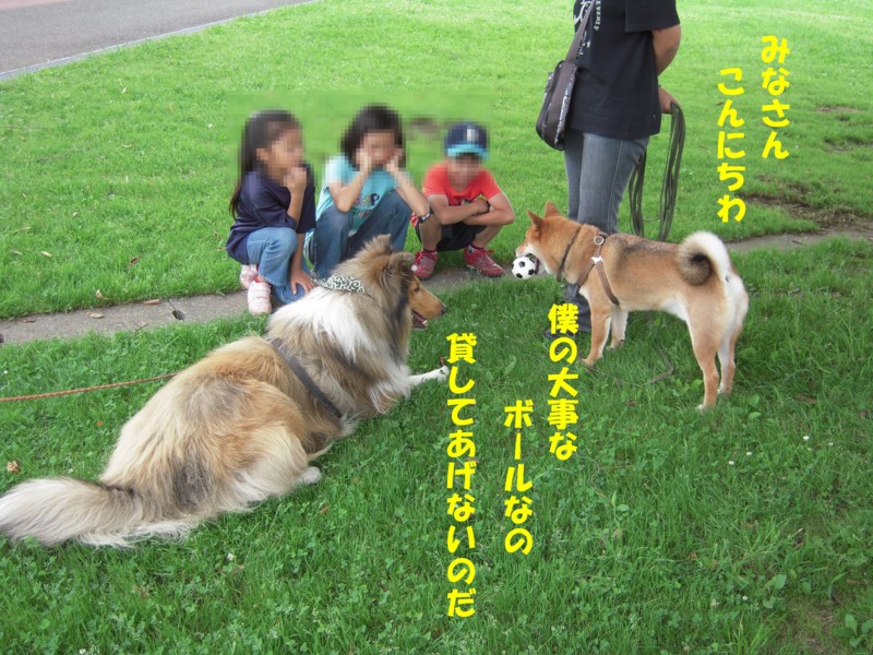 f:id:miyuki04:20090707221006j:image:w450