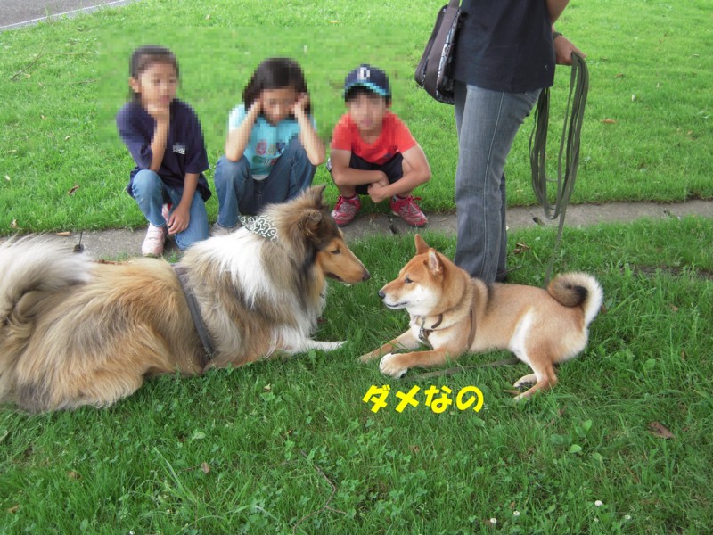 f:id:miyuki04:20090707221008j:image:w450