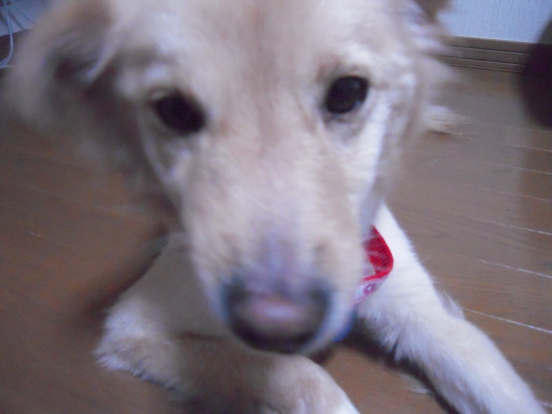 f:id:miyuki04:20100213214604j:image:w400