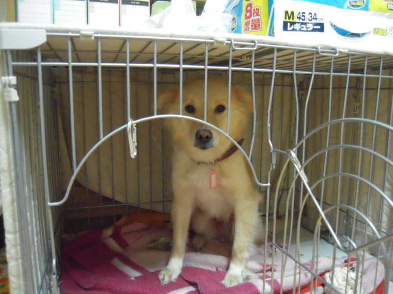 f:id:miyuki04:20100222065722j:image:w400