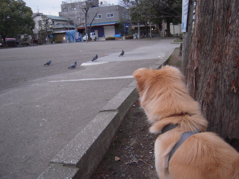 f:id:miyuki04:20100222070736j:image:w400