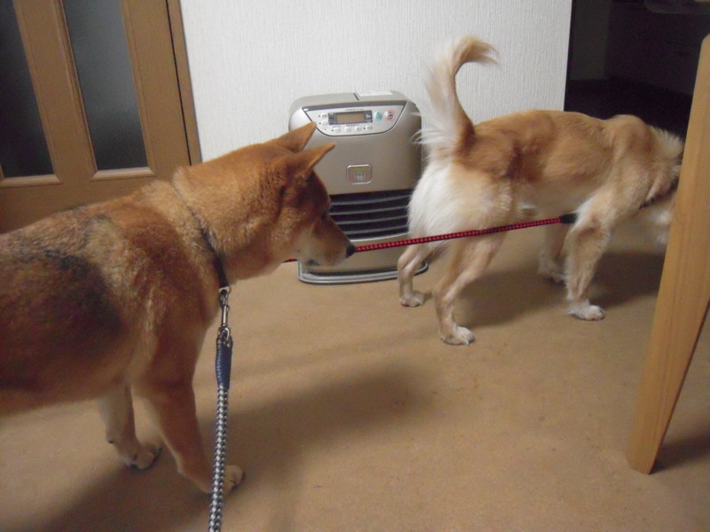 f:id:miyuki04:20100225220001j:image:w400 f:id:miyuki04:20100225220001j:image:w400