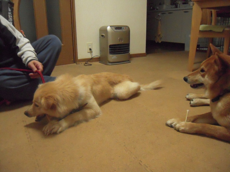 f:id:miyuki04:20100225220306j:image:w400 f:id:miyuki04:20100225220306j:image:w400