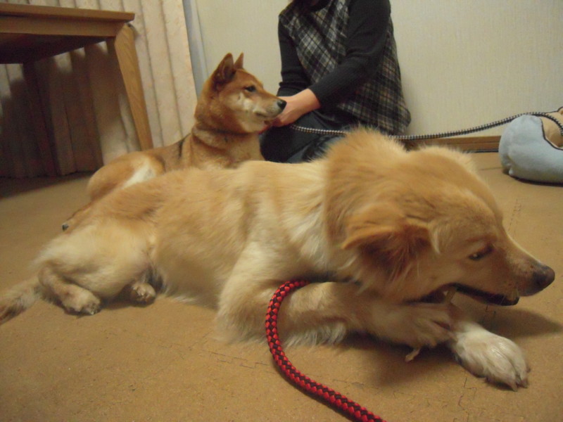 f:id:miyuki04:20100225220523j:image:w400 f:id:miyuki04:20100225220523j:image:w400
