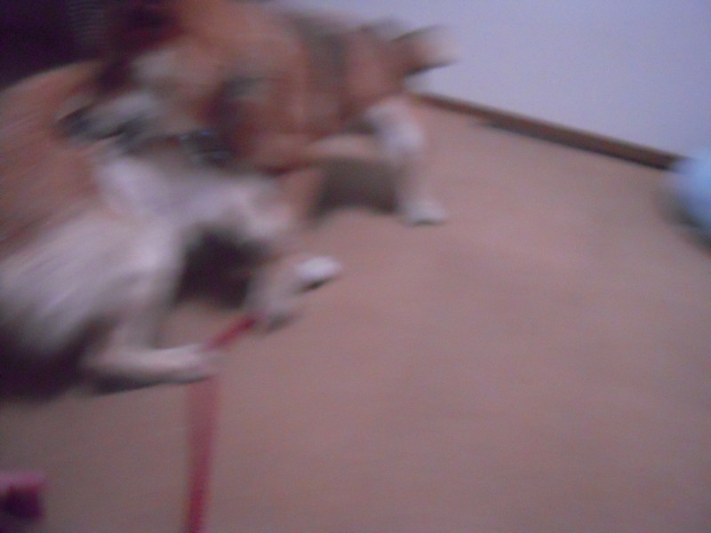 f:id:miyuki04:20100225220951j:image:w400 f:id:miyuki04:20100225220951j:image:w400