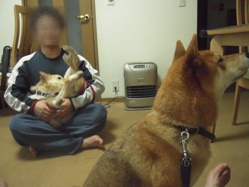 f:id:miyuki04:20100225224909j:image:w400 f:id:miyuki04:20100225224909j:image:w400