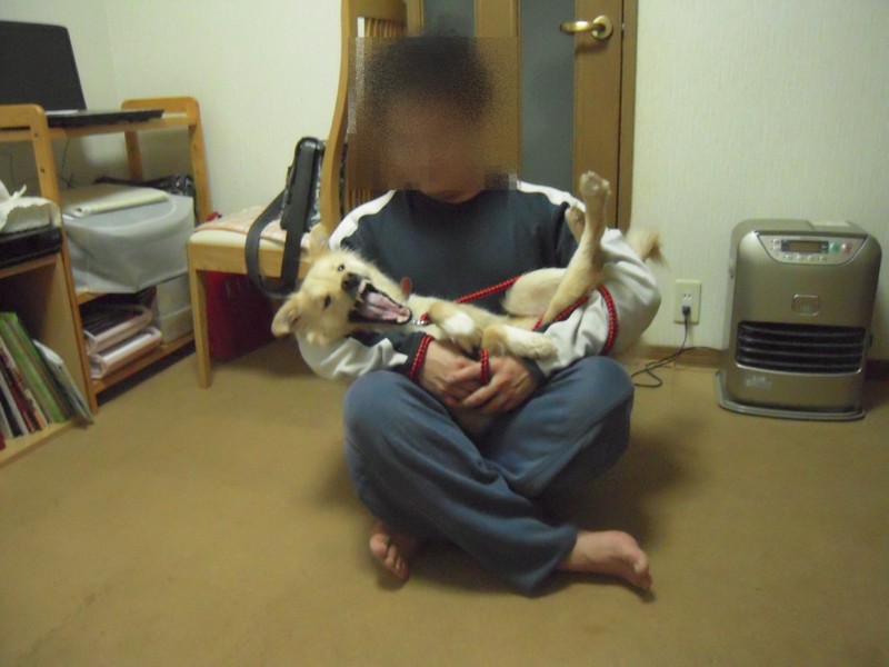 f:id:miyuki04:20100225224923j:image:w400 f:id:miyuki04:20100225224923j:image:w400