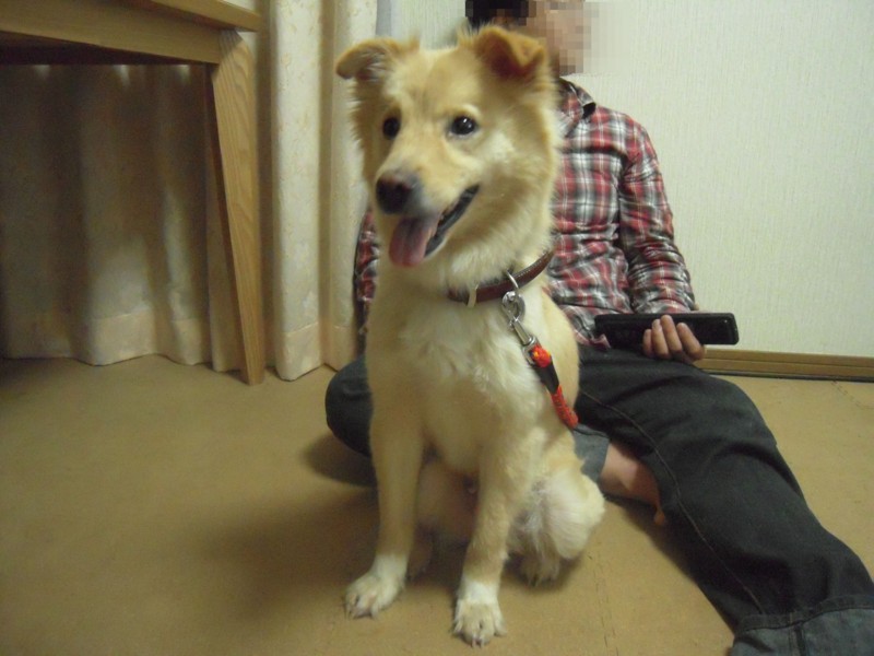 f:id:miyuki04:20100226224457j:image:w230:right