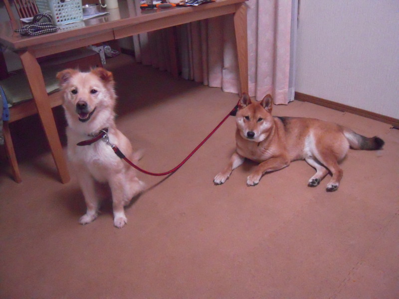 f:id:miyuki04:20100228211301j:image:w400