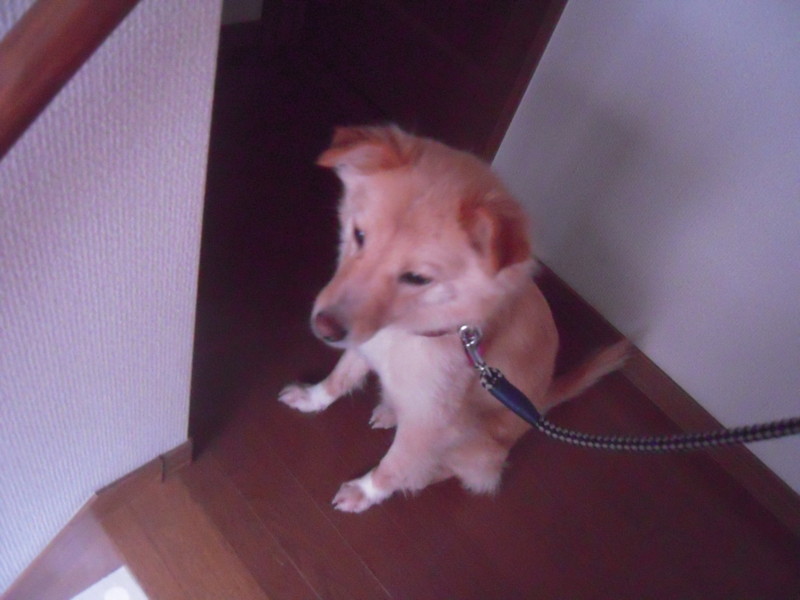 f:id:miyuki04:20100319065456j:image:w400