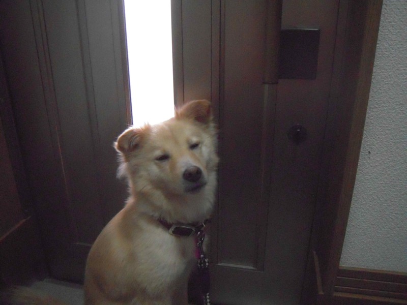 f:id:miyuki04:20100319155210j:image:w400