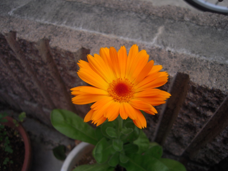 f:id:miyuki04:20100513173013j:image:w400