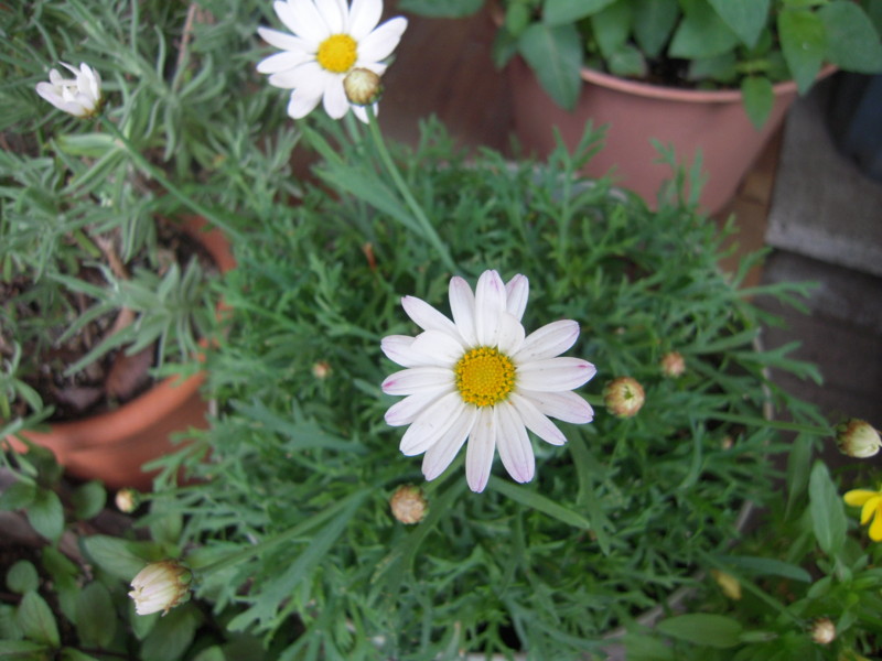 f:id:miyuki04:20100513173053j:image:w400