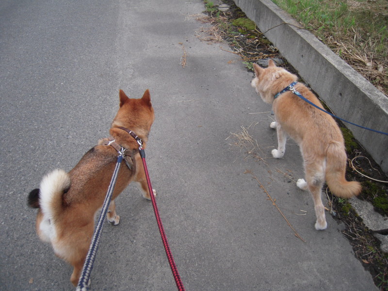 f:id:miyuki04:20100619162921j:image:w400